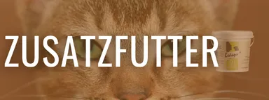 Zusatzfutter für Katzen