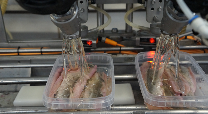 Quality in production – processing of the raw material