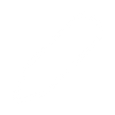 Entwicklung