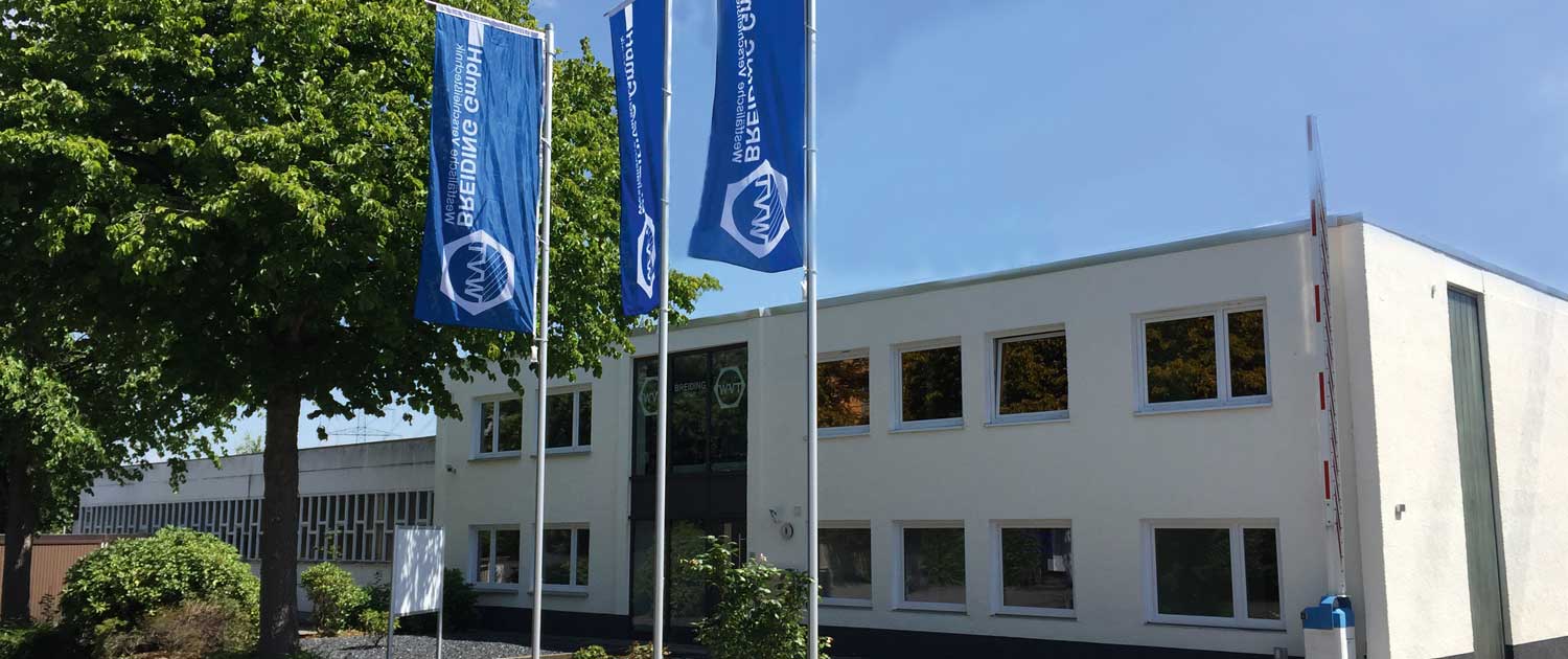 Gussbauteil für Verbrennungsanlagen
