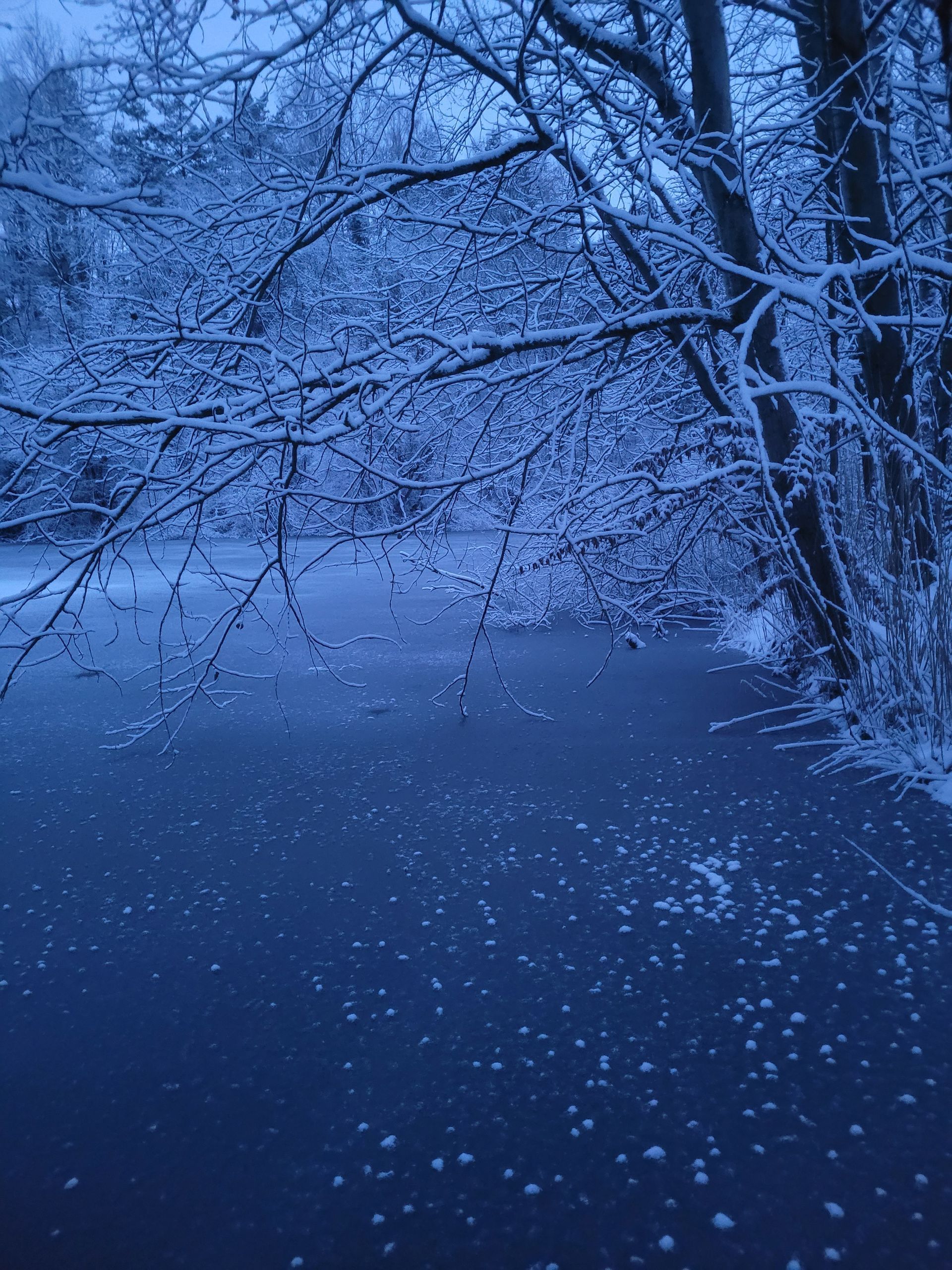 Ziegeleigelände im Winter