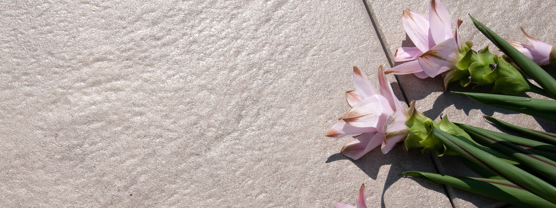 Oberfläche mit UV-Coating (terra beige)