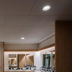 Downlight (starr)
