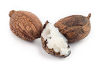 Rohstoff Shea