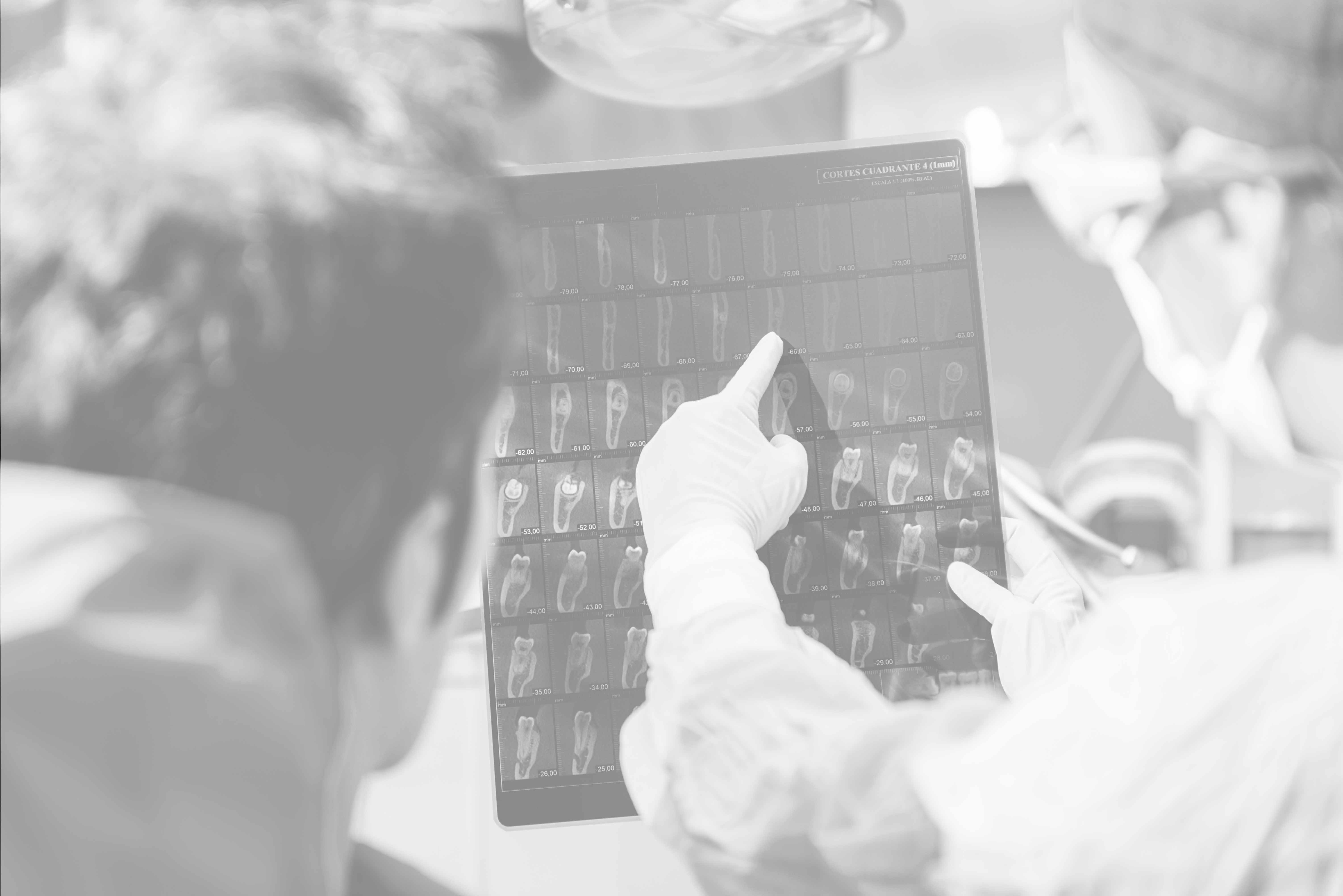 Spezialmodule – Ausbildung Zahnarzt-Assistenz und Zahntechniker