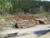 Sawn timber