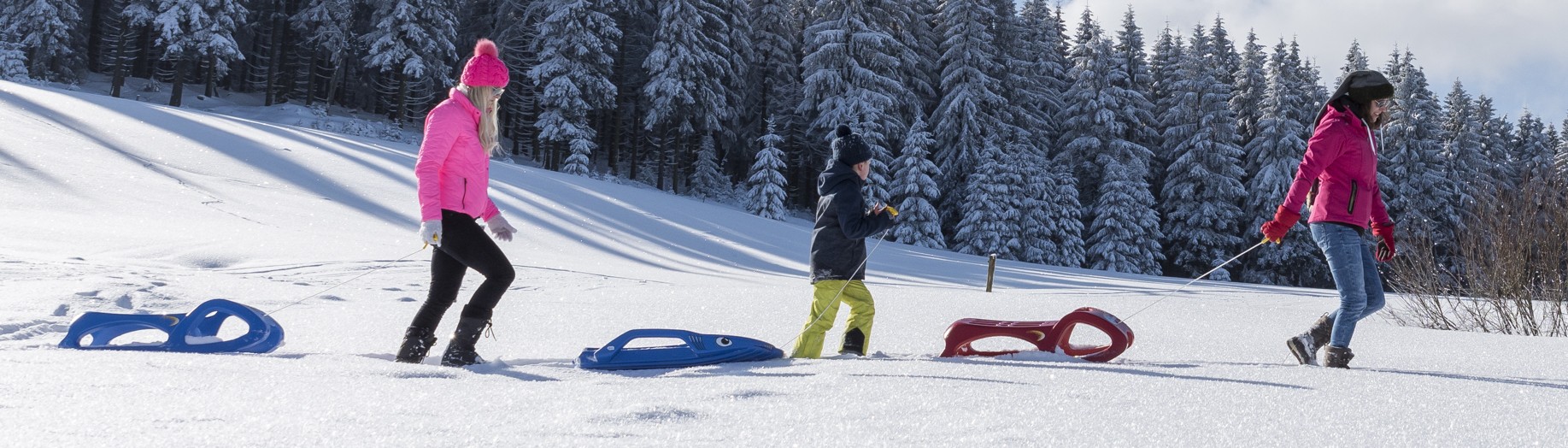 rolly toys Schlitten im Wintereinsatz