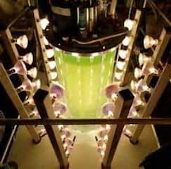Photobioreaktor