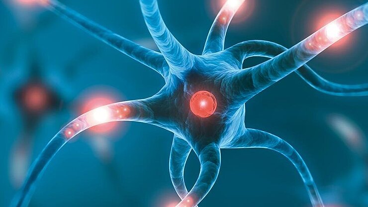 Neurologie / Stroke Unit