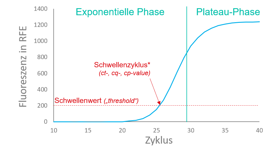 Real-Time PCR-Amplifikationskurve