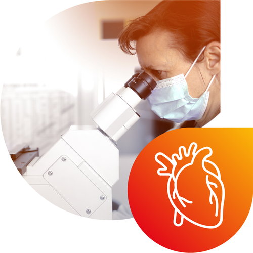 Transplantationsdiagnostik (HISTO SPOT®, HISTO TYPE)