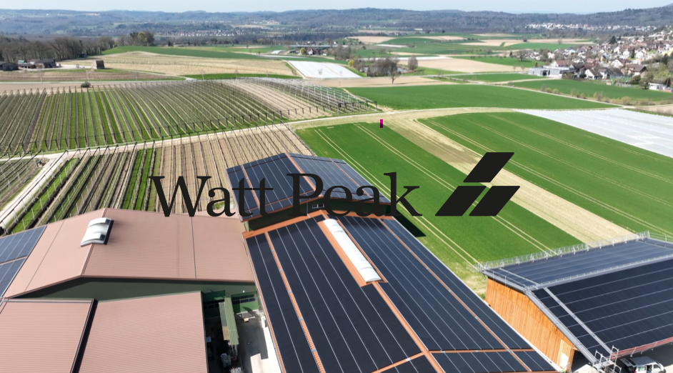Solarpanel