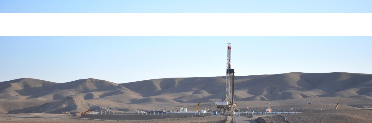 Forza Petroleum – Fertigung