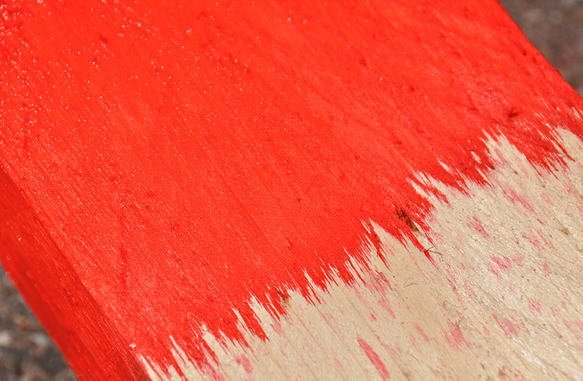 Imprägniertes Holz