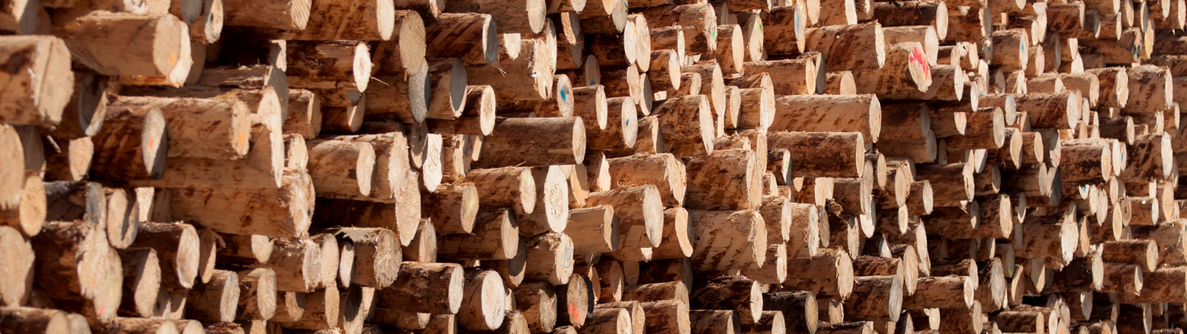 Holzdetail