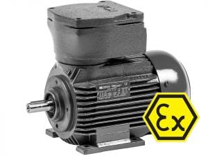 Explosion-proof motors