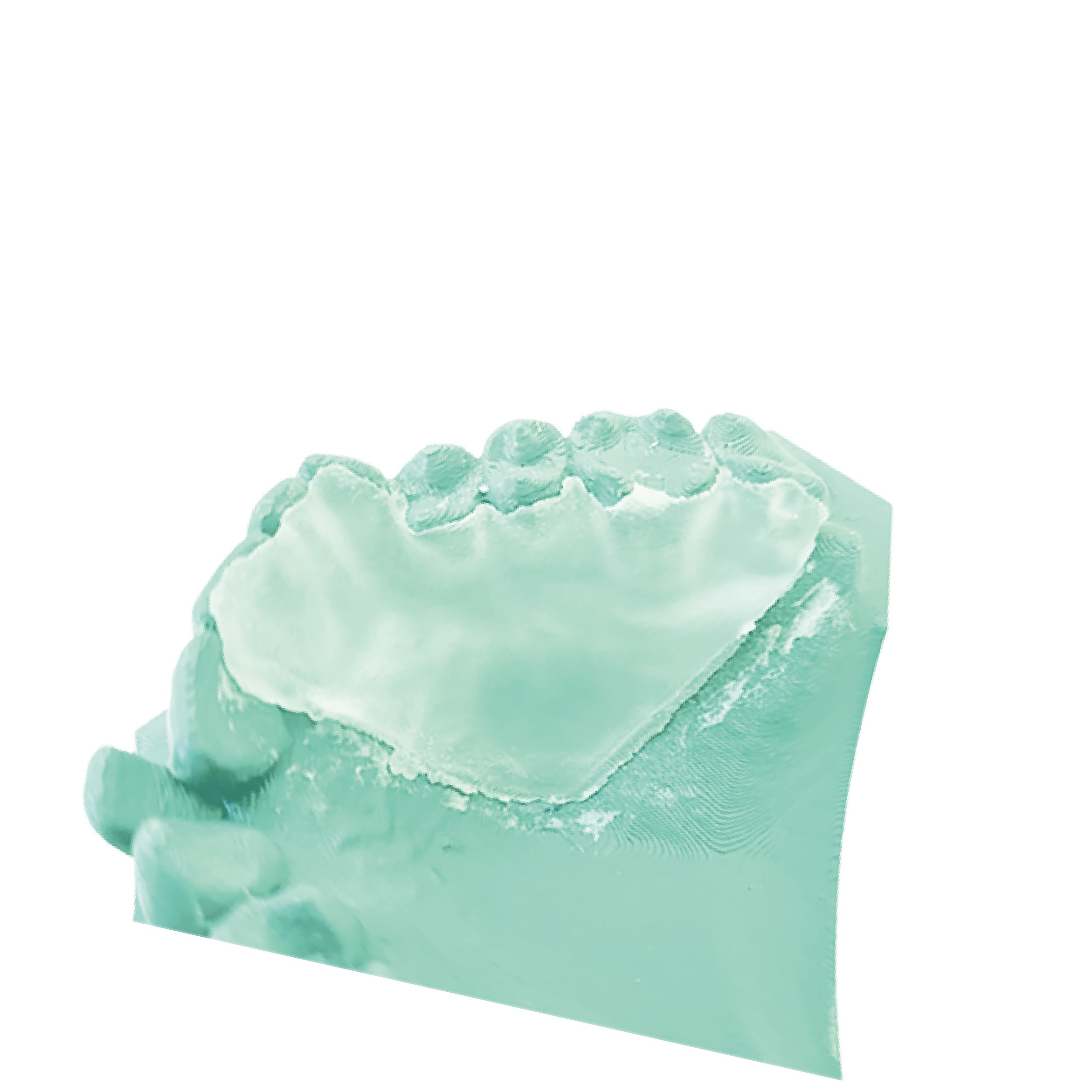 Dentalmodell (MODEL+)