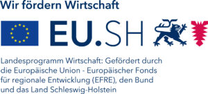 Landesförderung Schleswig-Holstein