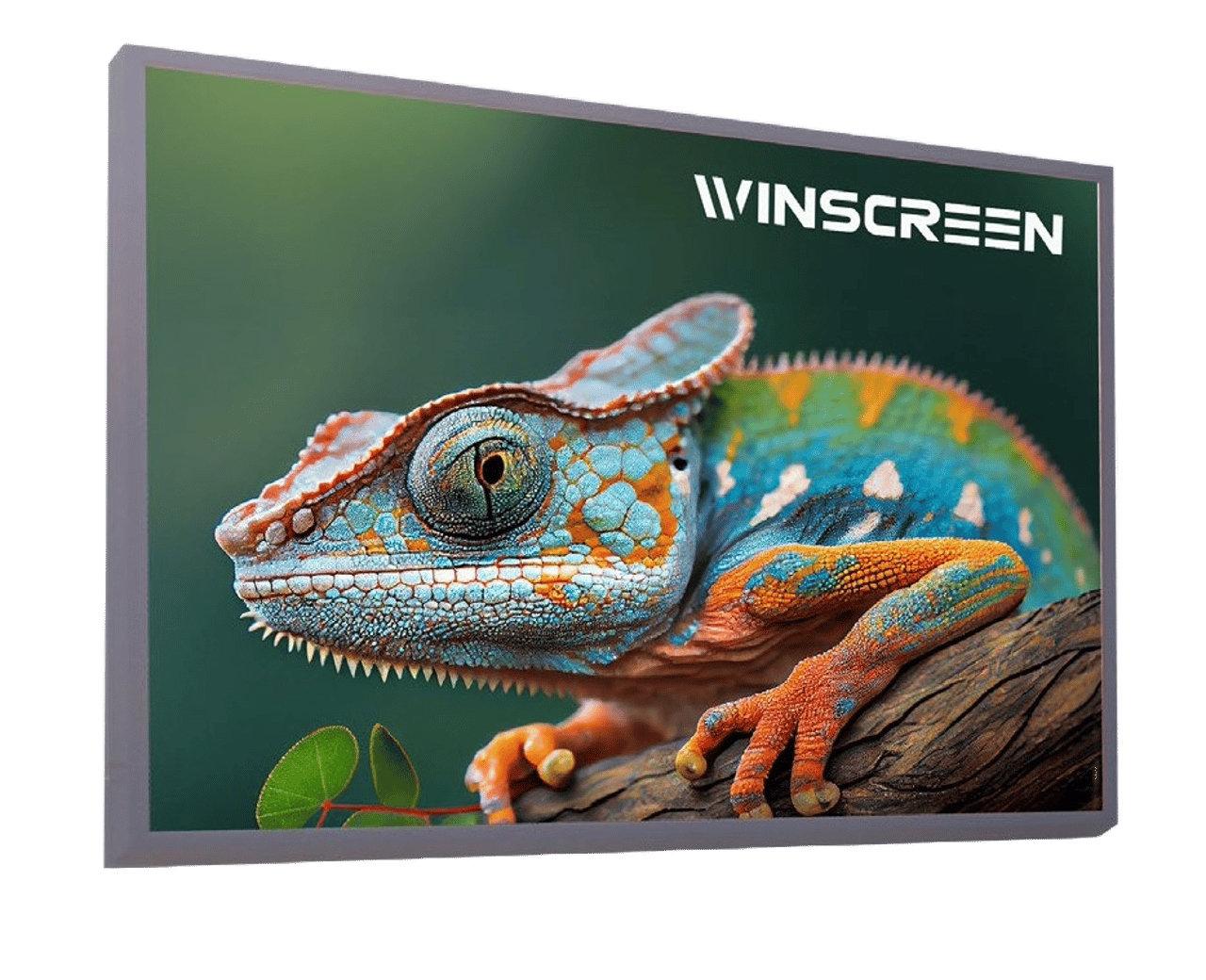 WinScreen WALL Wandmontage