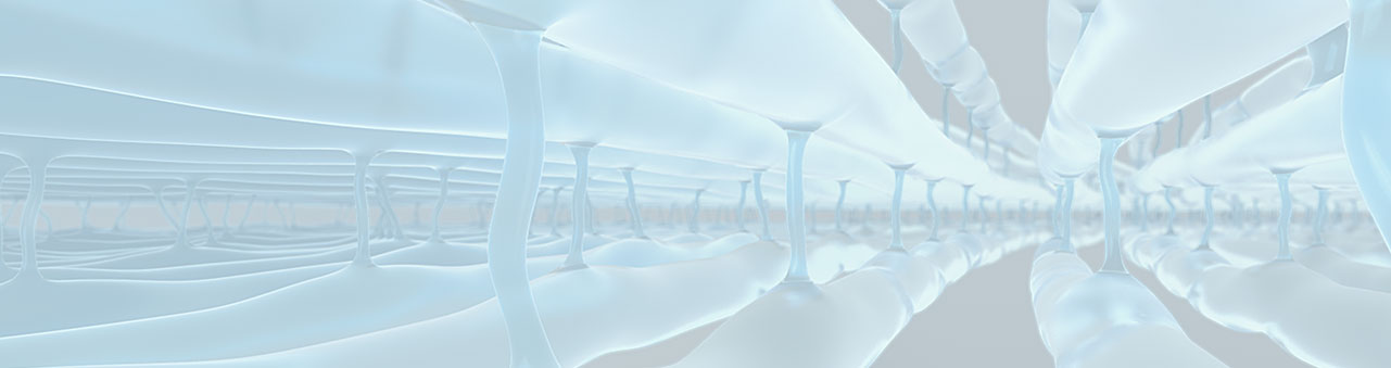 XENIA Technologie – Corneal Tissue Engineering