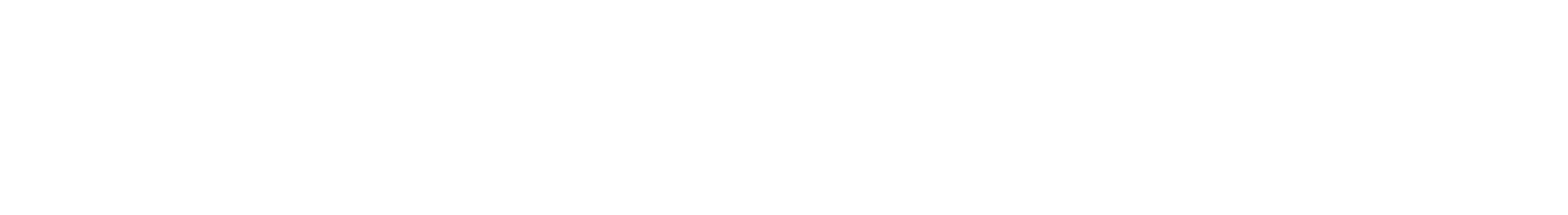 Logo Pfister Waagen AG