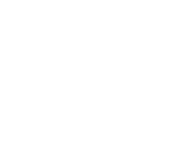 Maldoner Logo
