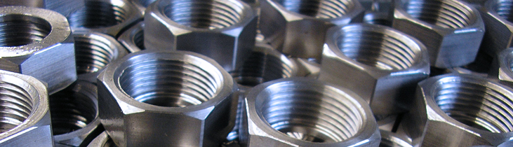 Services of Pucker GmbH
