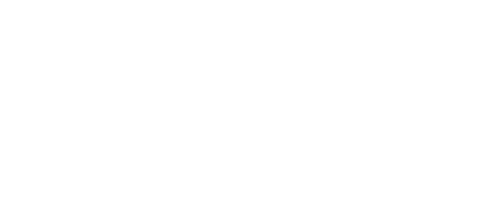 Levien Sails & Drive Logo