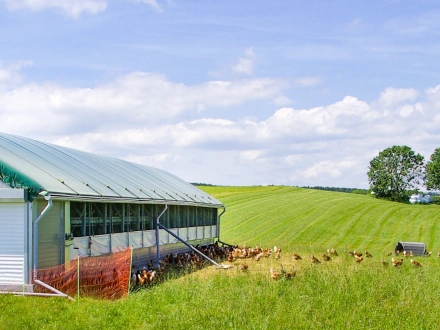 Biohof Kaiser in Stühlingen-Wangen