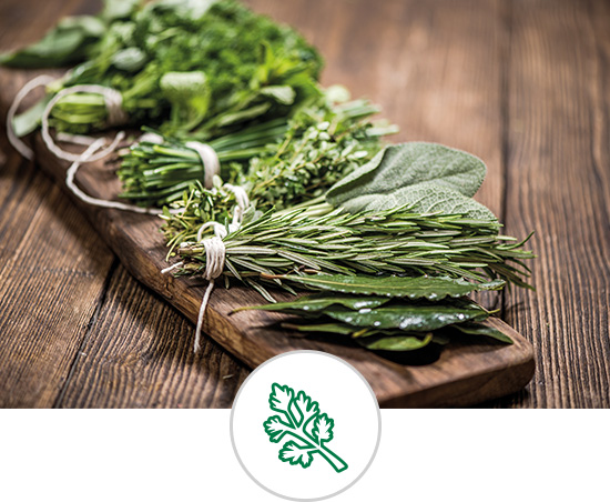 Aromatische Kräuter