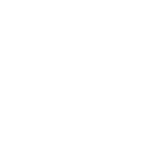 Felzmann Dental Logo