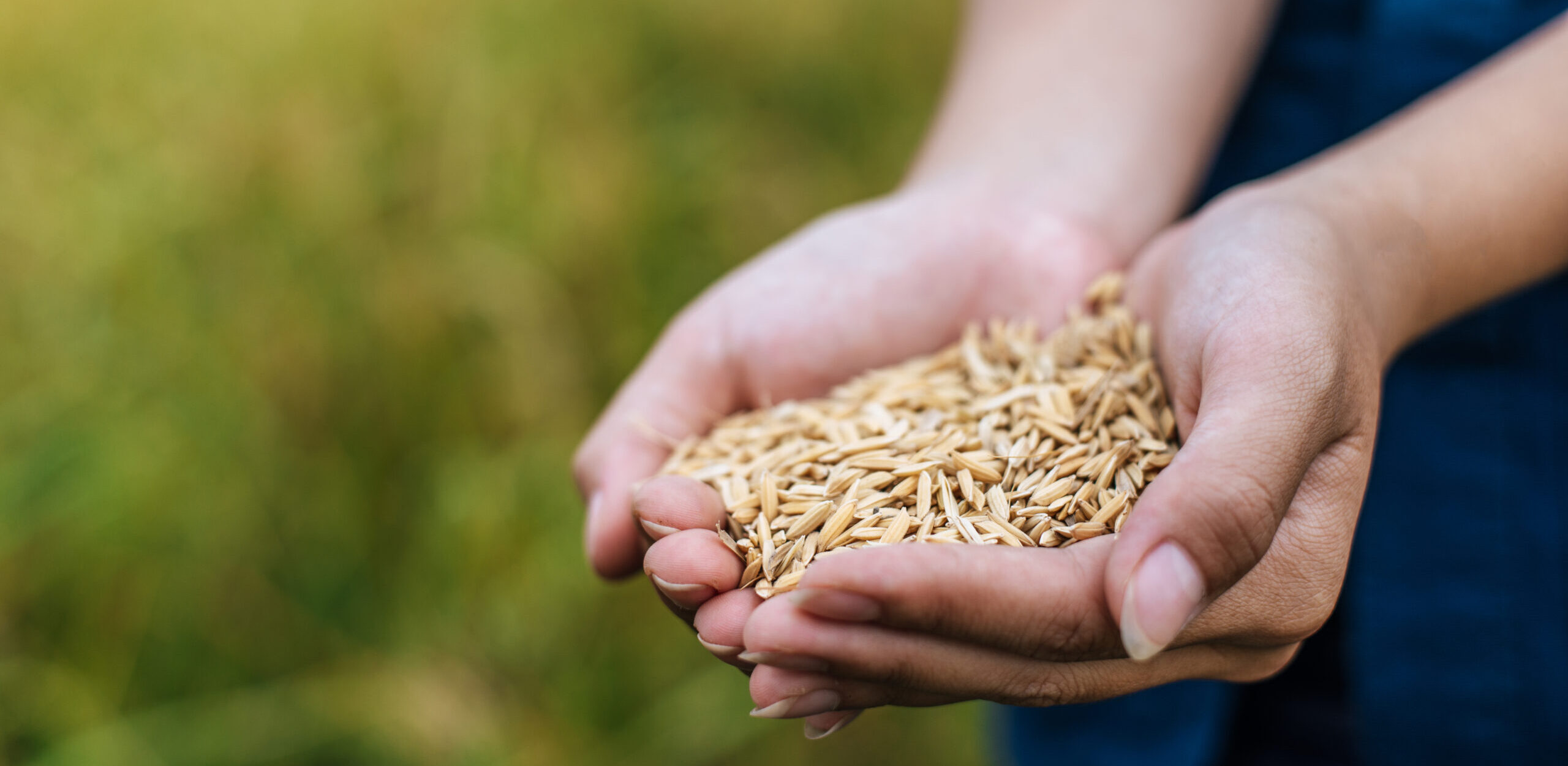 Qualitätsbewertung entlang der landwirtschaftlichen Wertschöpfungskette