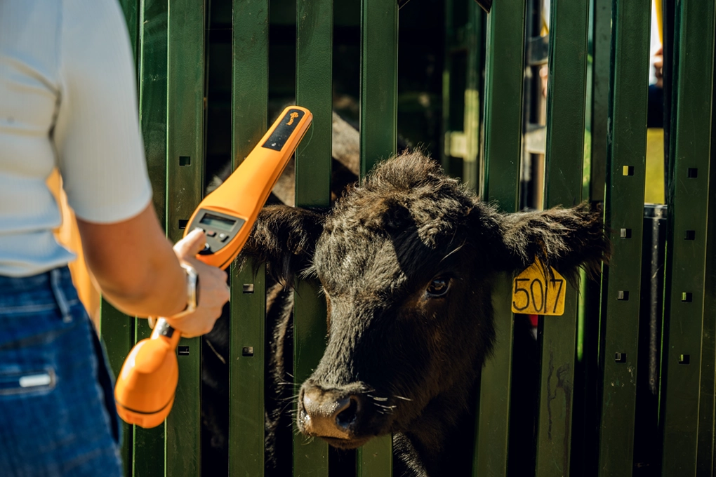 Gallagher Animal Management