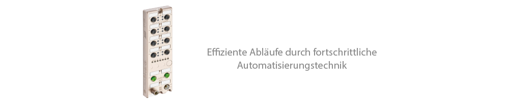 LioN-X Steckverbinder