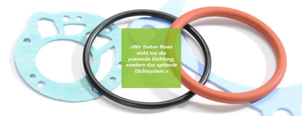 O-Ringe und Hydraulik-/Pneumatikdichtungen