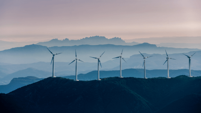 Erneuerbare Energien / Windkraft