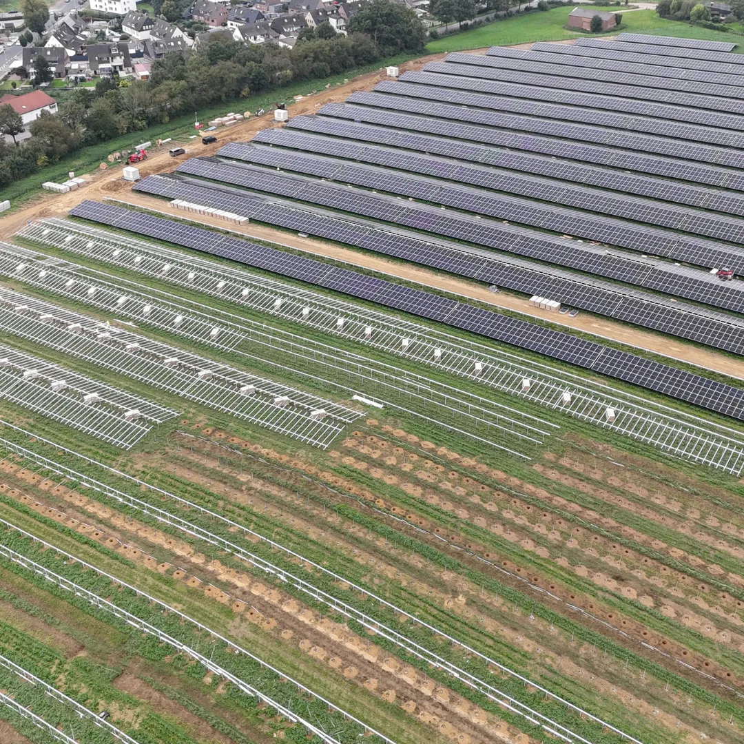 PV-Freiflächenanlage mit Modulreihen