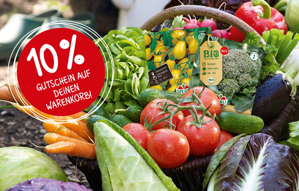 Frisches Gemüse aus dem Garten