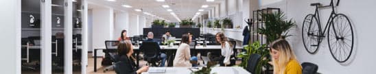 Büros und Co-Working am Standort