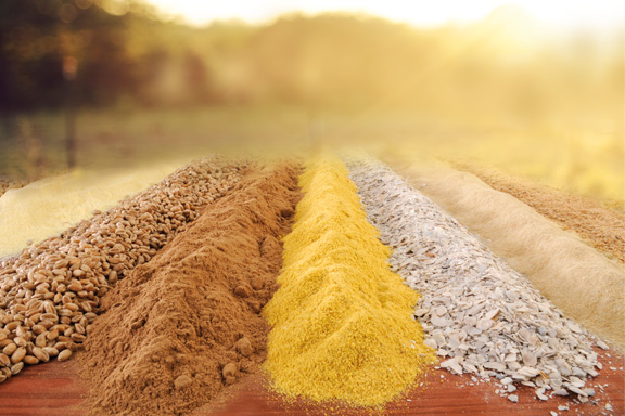 Feed Ingredients & Additives