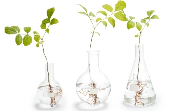 Recyceltes Glas und Nachhaltigkeit in der Produktion