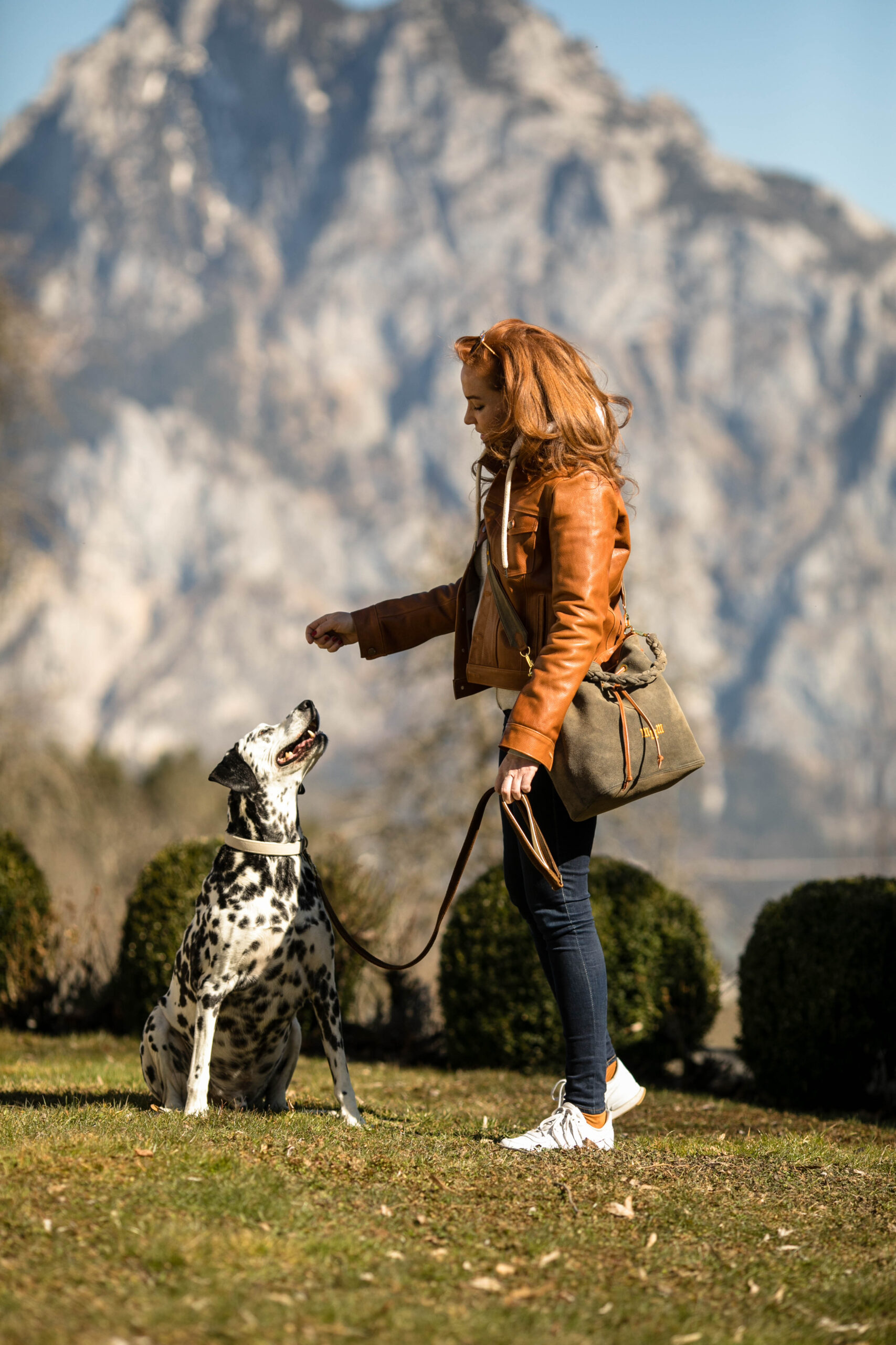 Hundehalsband und Leine