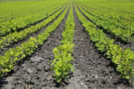 Anwendungsbereich Ackerbau und Landwirtschaft