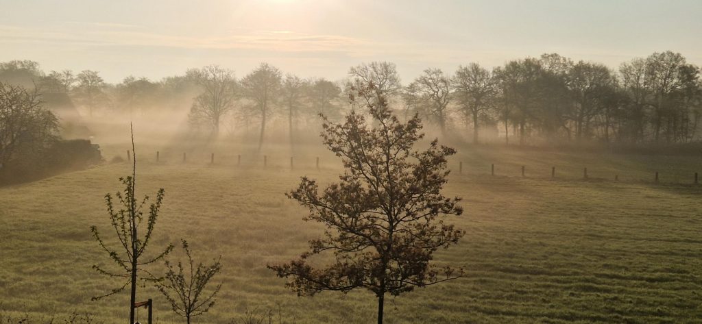 Water protection – field of application of SABUG systems
