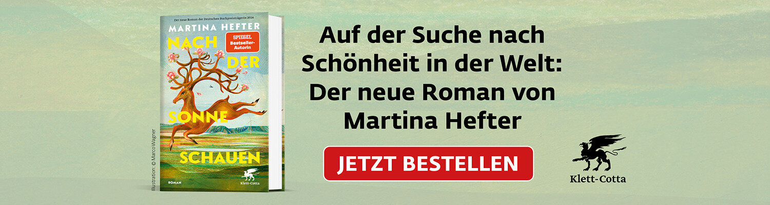 Werbebanner für den Roman „Nach der Sonne schauen“ von Martina Hefter