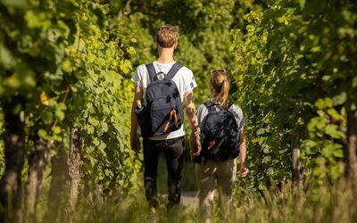 Weinwanderung durch die Weinberge