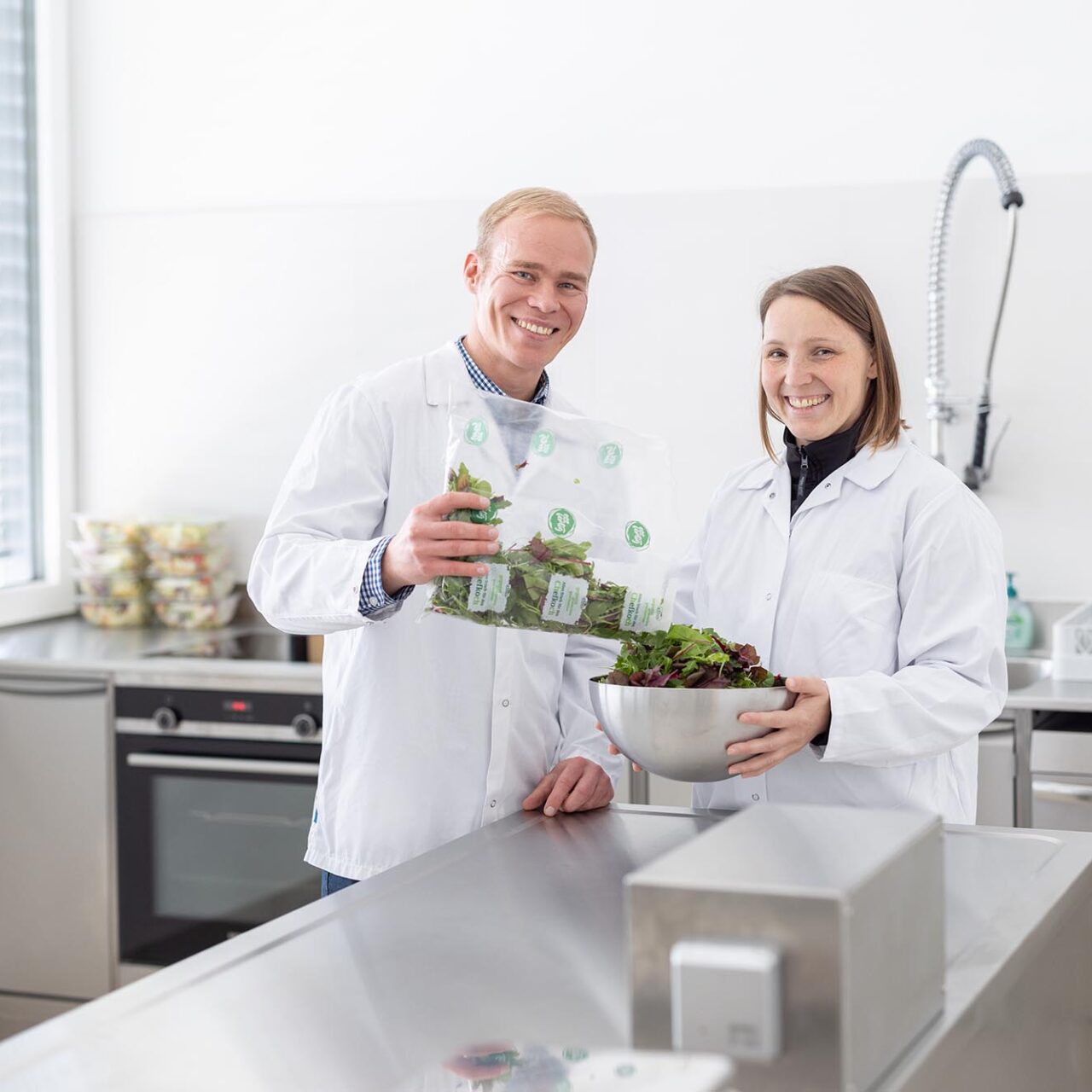 Frisch abgepackter Salat