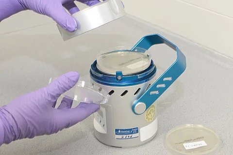 Mikrobiologische Untersuchungen