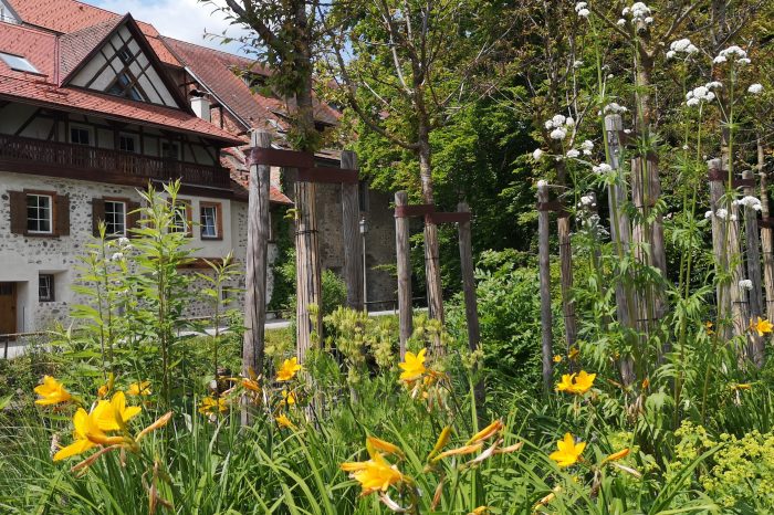Projektfreianlage