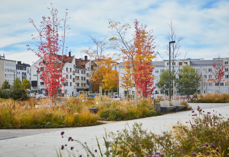 Staudenpflanzung im Herbst